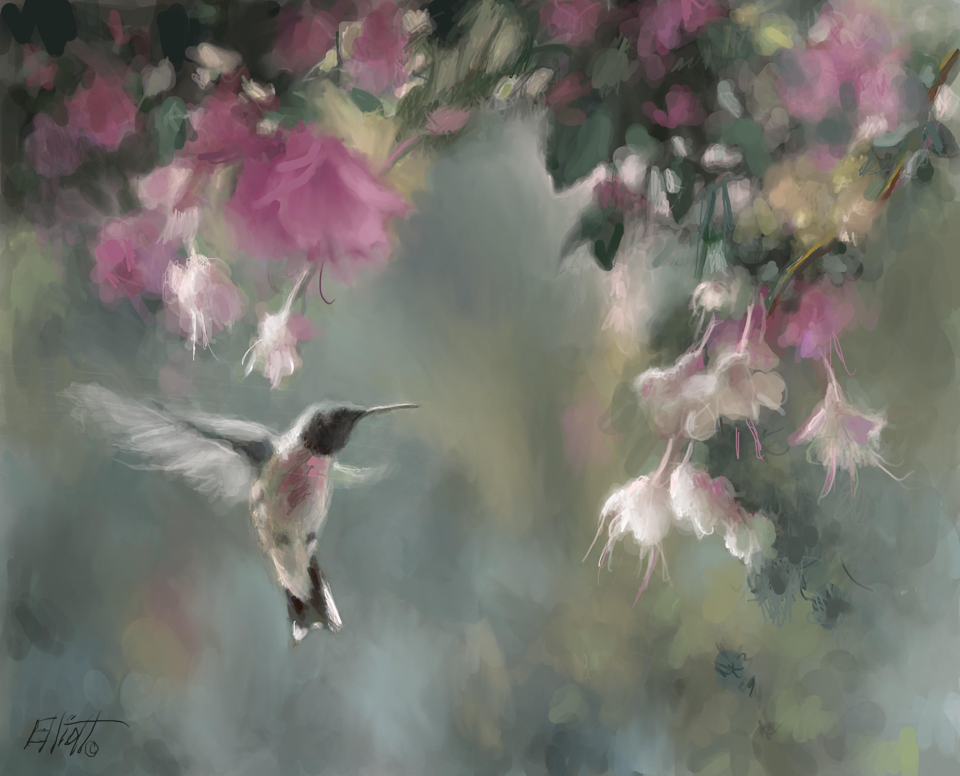 Hummingbird Delight